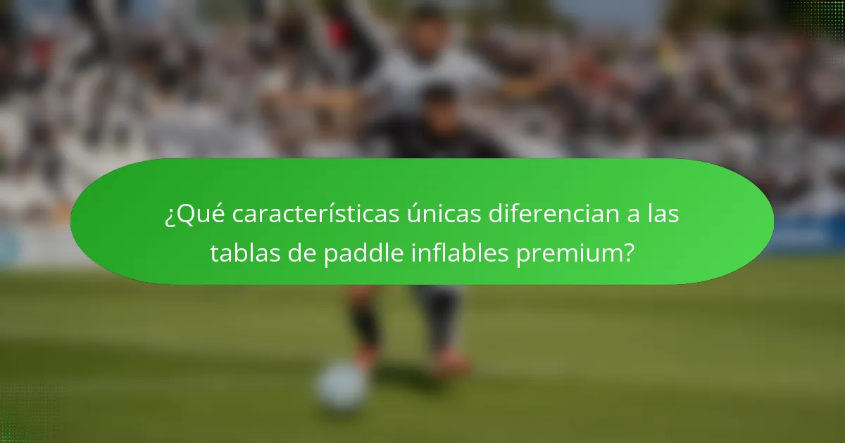 ¿Qué características únicas diferencian a las tablas de paddle inflables premium?