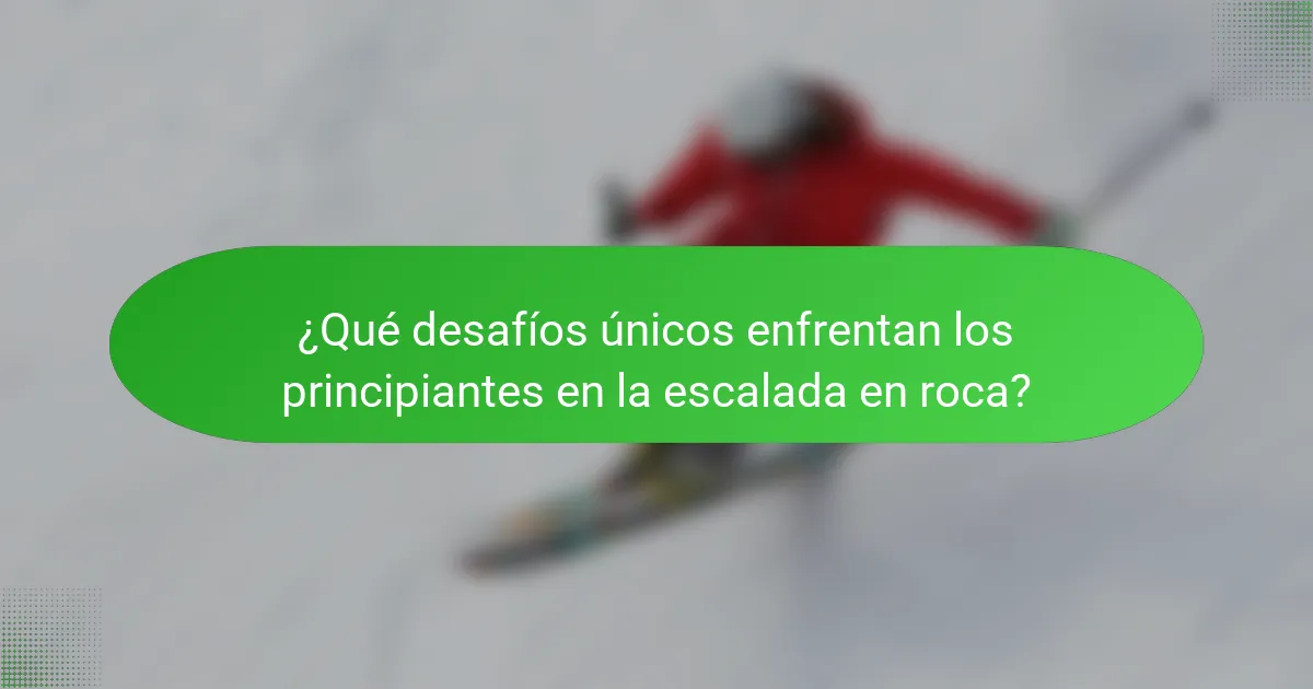 ¿Qué desafíos únicos enfrentan los principiantes en la escalada en roca?